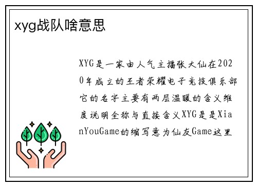 xyg战队啥意思